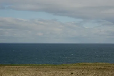 DSC_7257 (Large).JPG